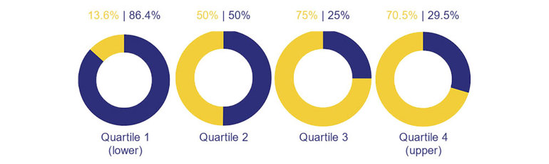 Nisa Gender Pay Gap Report 2020 Pie Charts - Image 3 v4