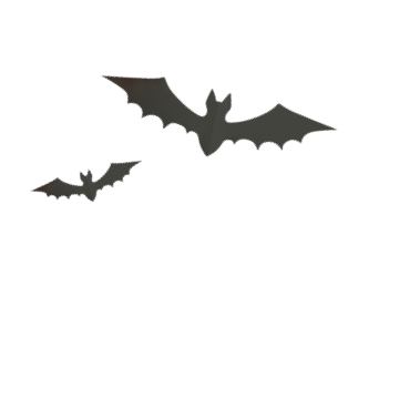Background - Background Bats 360Px